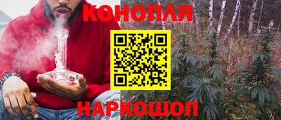 гашик Усть-Илимск