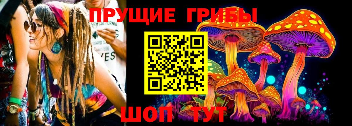 Псилоцибиновые грибы мухоморы Новоалтайск