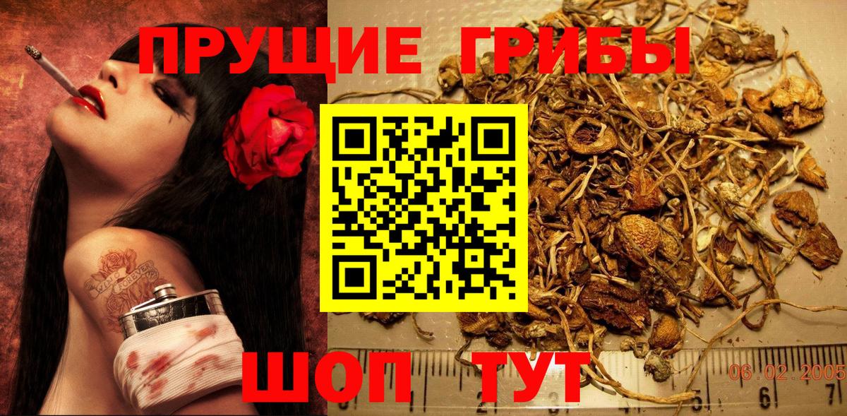 Псилоцибиновые грибы Magic Shrooms  Вход с VPN  Новоалтайск 